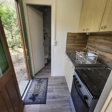 La Cabane, Dans La Foret De Mervent
