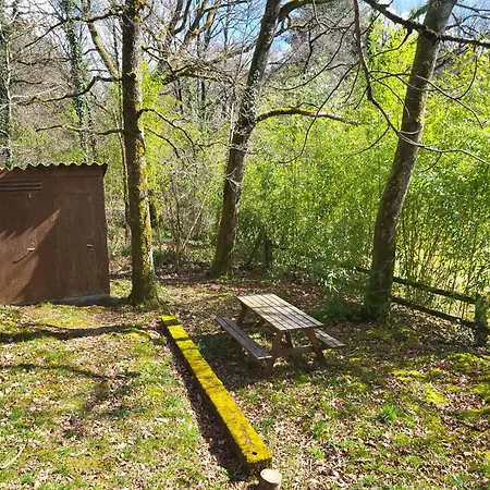 La Cabane, Dans La Foret De Mervent * Saint-Michel-le-Cloucq