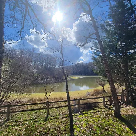 La Cabane, Dans La Foret De Mervent Saint-Michel-le-Cloucq