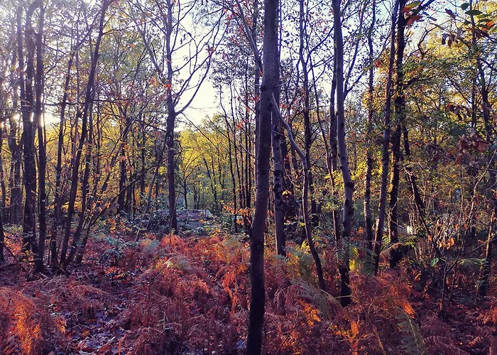 Lüks kamp alanı La